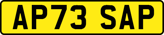 AP73SAP