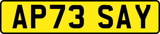 AP73SAY
