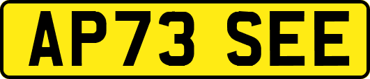 AP73SEE