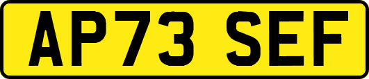 AP73SEF