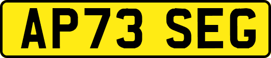 AP73SEG