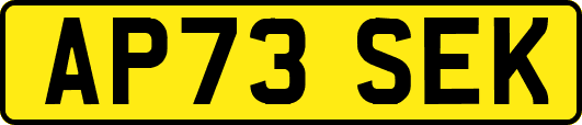 AP73SEK