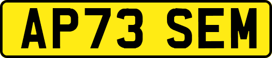 AP73SEM