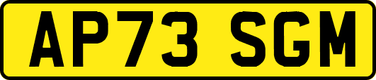 AP73SGM