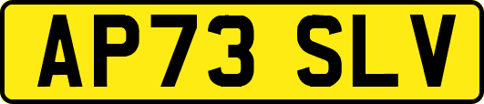 AP73SLV
