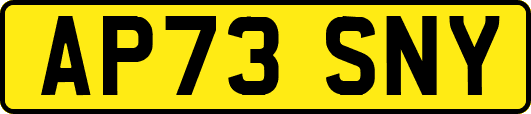 AP73SNY