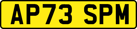 AP73SPM