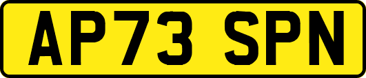 AP73SPN