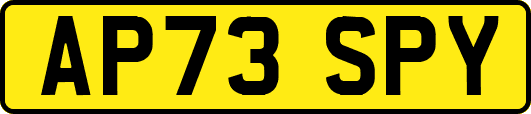 AP73SPY