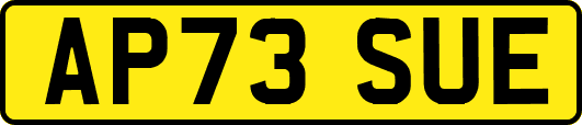 AP73SUE