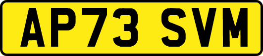 AP73SVM