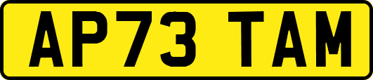 AP73TAM