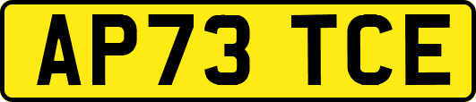 AP73TCE