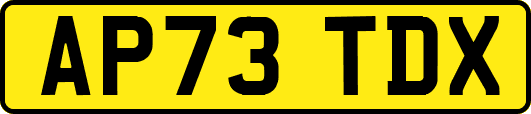 AP73TDX