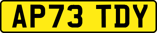 AP73TDY