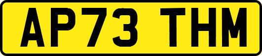AP73THM