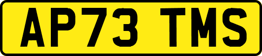 AP73TMS
