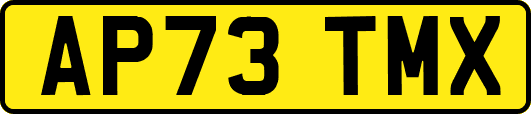 AP73TMX