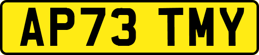 AP73TMY