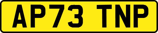 AP73TNP