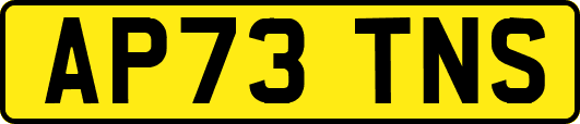 AP73TNS