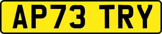 AP73TRY