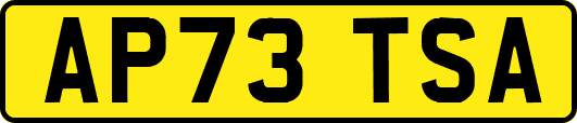 AP73TSA