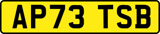 AP73TSB