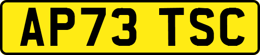 AP73TSC