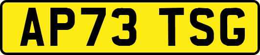 AP73TSG