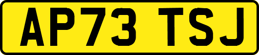 AP73TSJ