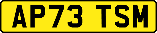 AP73TSM