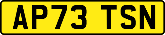 AP73TSN