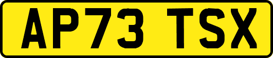 AP73TSX