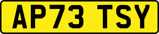 AP73TSY