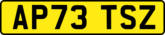 AP73TSZ