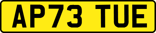 AP73TUE