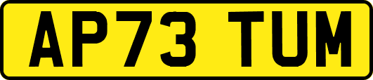 AP73TUM