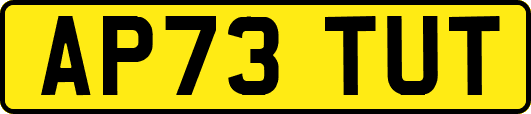 AP73TUT