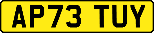 AP73TUY