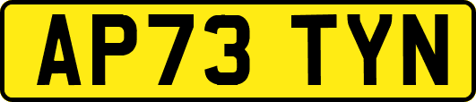 AP73TYN