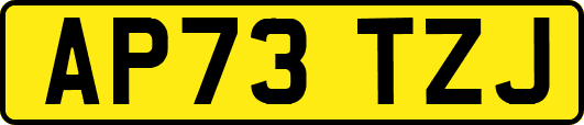 AP73TZJ