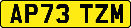 AP73TZM