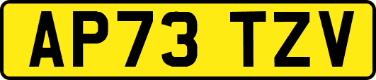 AP73TZV