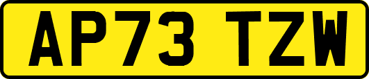 AP73TZW