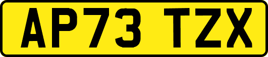 AP73TZX
