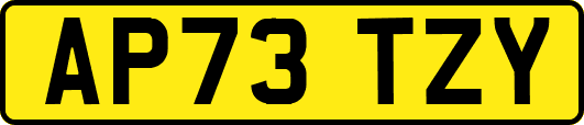 AP73TZY