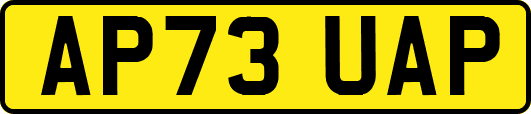 AP73UAP