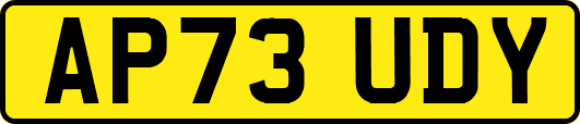 AP73UDY
