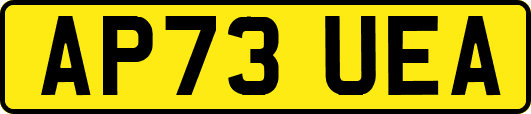 AP73UEA